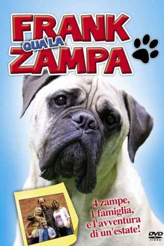 Frank qua la zampa streaming