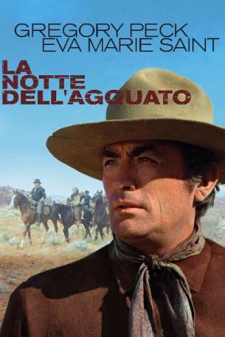 La notte dell'agguato streaming