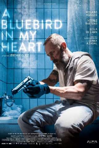 A Bluebird in My Heart streaming