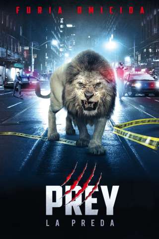 Prey - La preda streaming