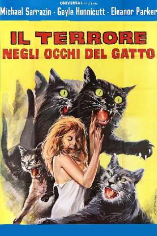 Il terrore negli occhi del gatto streaming