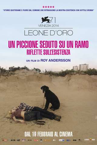 Un piccione seduto su un ramo riflette sull'esistenza streaming