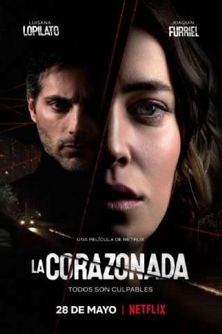 L'amica streaming