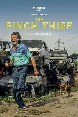 Il Ladro di Cardellini streaming