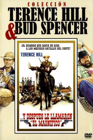 E poi lo chiamarono il magnifico streaming