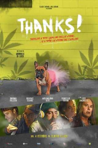 Thanks! streaming