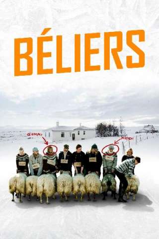 Rams - Storia di due fratelli e otto pecore streaming