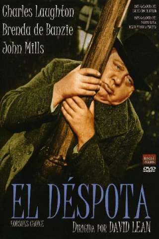 Hobson il tiranno streaming