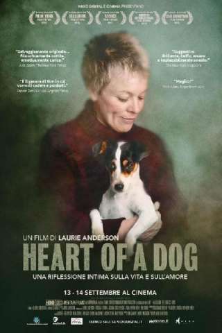 Cuore di un cane streaming