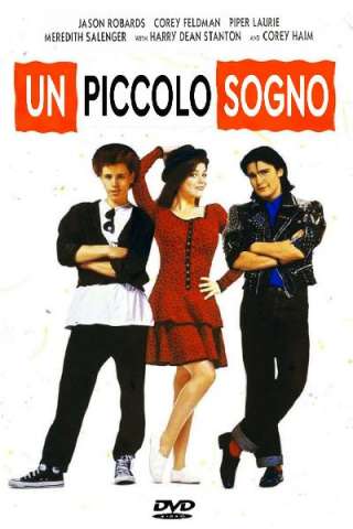 Un piccolo sogno streaming