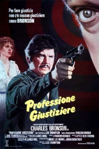 Professione giustiziere streaming