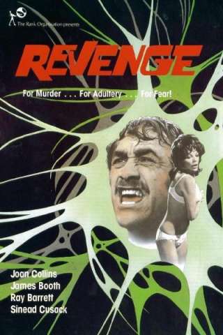 Revenge - Il passo dell'assassino streaming