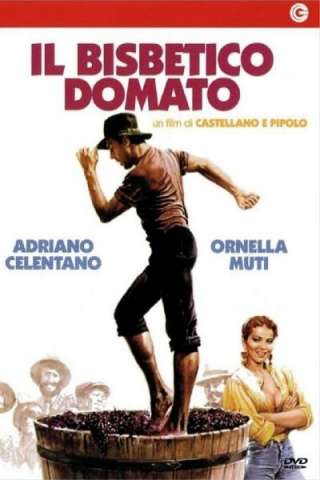 Il bisbetico domato streaming