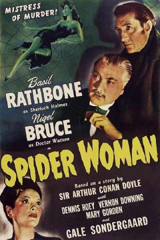 Sherlock Holmes e la donna ragno streaming