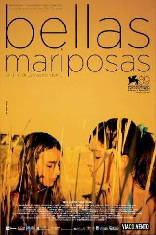 Bellas Mariposas streaming