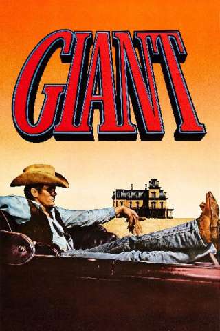 Il gigante streaming