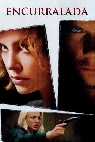 24 ore streaming
