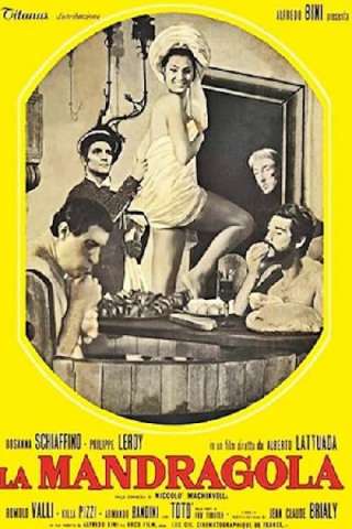 La mandragola streaming