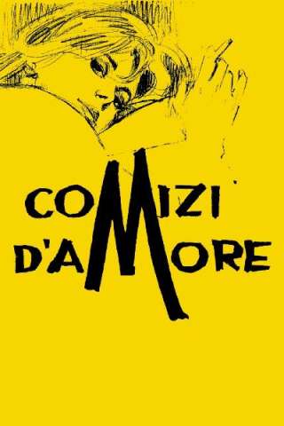 Comizi d'amore streaming
