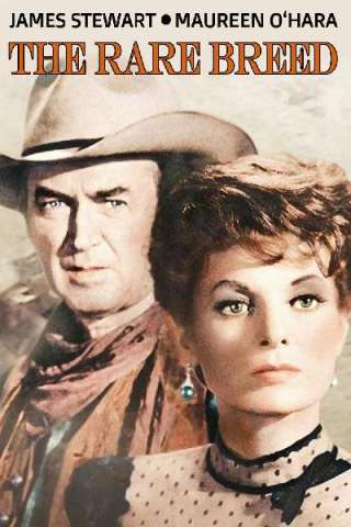Rancho bravo streaming