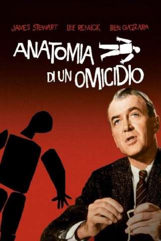 Anatomia di un omicidio streaming