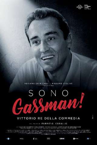 Sono Gassman! Vittorio re della commedia streaming