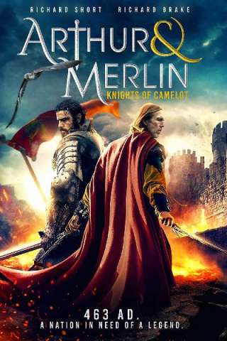 Arthur &amp; Merlin: Knights of Camelot streaming