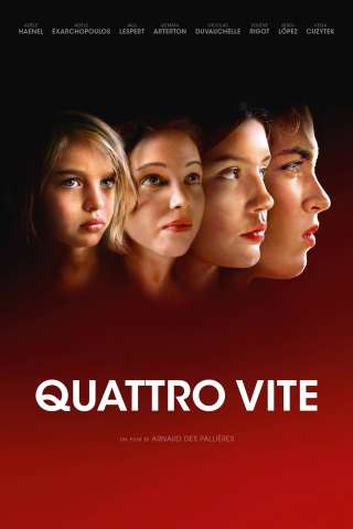 Quattro vite streaming