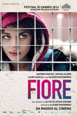 Fiore streaming