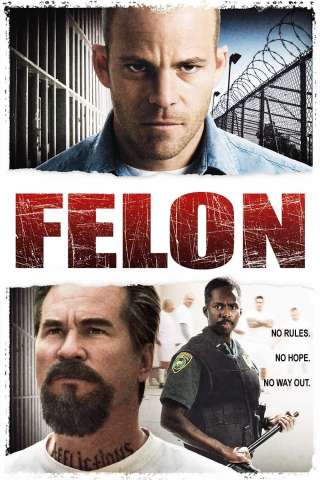 Felon - Il colpevole streaming