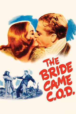 Sposa contro assegno streaming