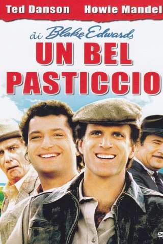Un bel pasticcio! streaming