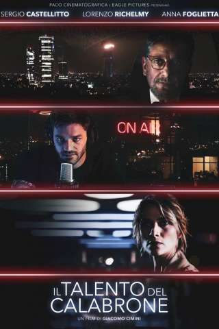 Il talento del calabrone streaming