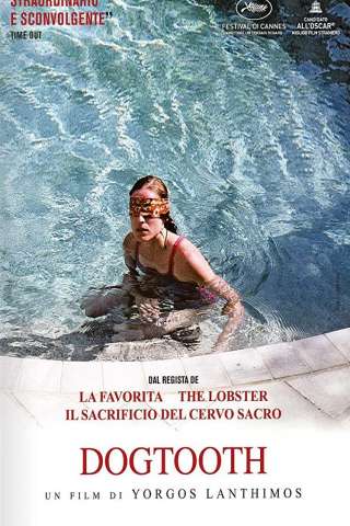 Dogtooth streaming