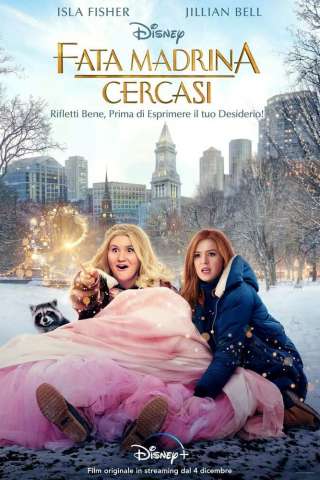 Fata madrina cercasi streaming