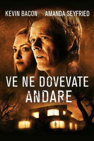 Ve ne dovevate andare streaming