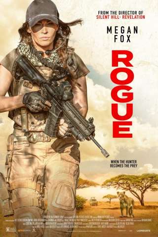 Rogue streaming