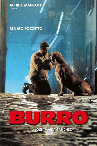 Burro streaming