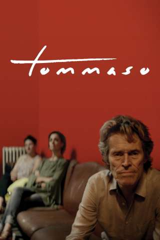 Tommaso streaming