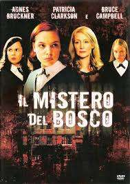 Il mistero del bosco streaming