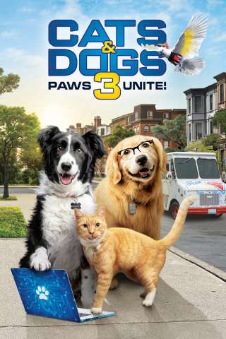 Cani and gatti 3: Zampe unite streaming
