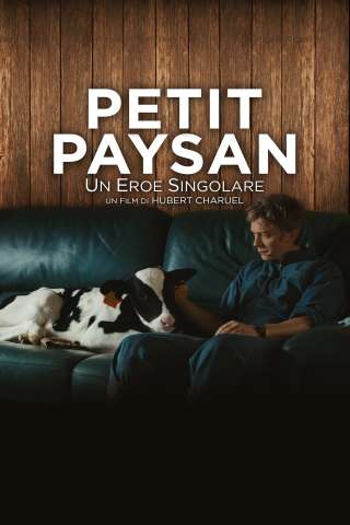 Petit Paysan - Un eroe singolare streaming