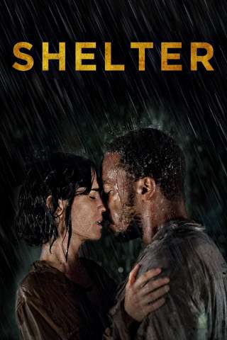 Shelter - senza dimora streaming