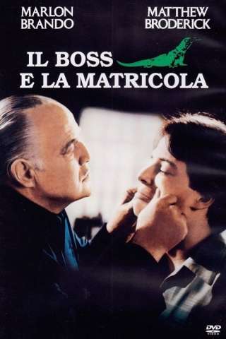 Il boss e la matricola streaming