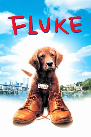 Fluke streaming
