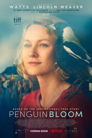 Penguin Bloom streaming