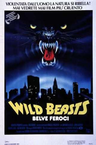Wild Beasts - Belve feroci streaming