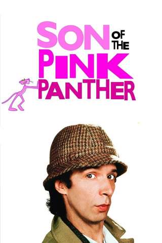 Il figlio della pantera rosa streaming