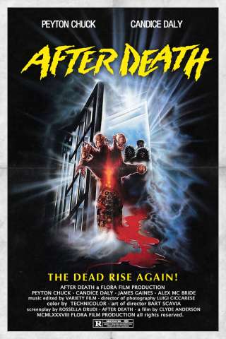 After Death - Oltre la morte streaming