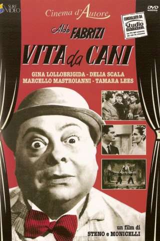 Vita da cani streaming